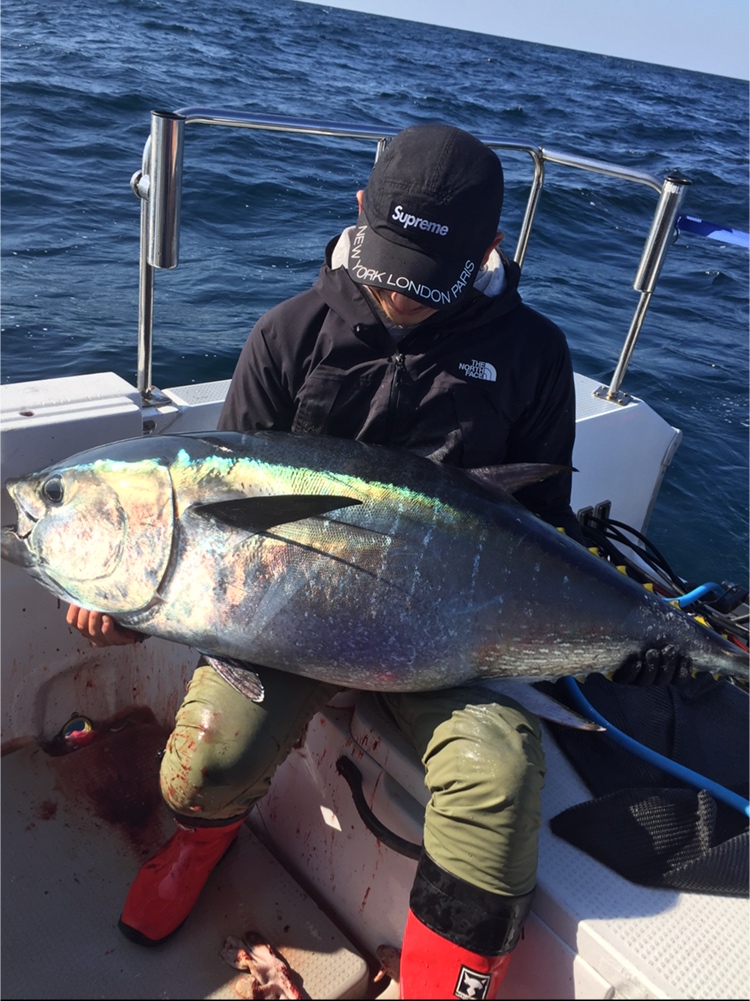 10月日 日 積丹沖マグロ釣果情報 Fishland