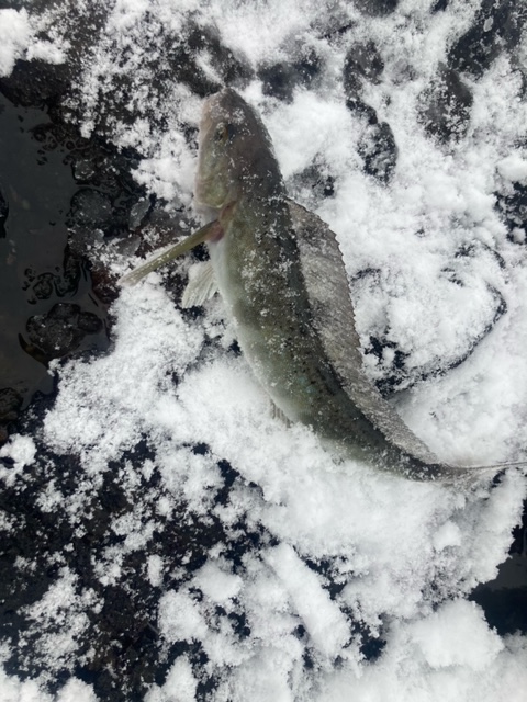 Homemade fish finder for ice-fishing