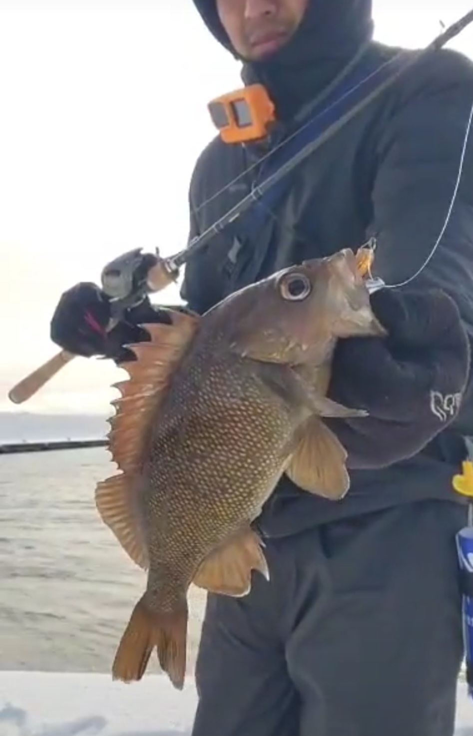 商品・新商品情報 | FISHLAND | ページ 13