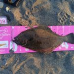 苫小牧近郊 釣果情報🎣