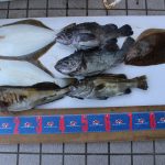 🚣知内方面ヒラメ＆根魚ジギング好調🚣