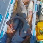 大津沖 船釣り情報
