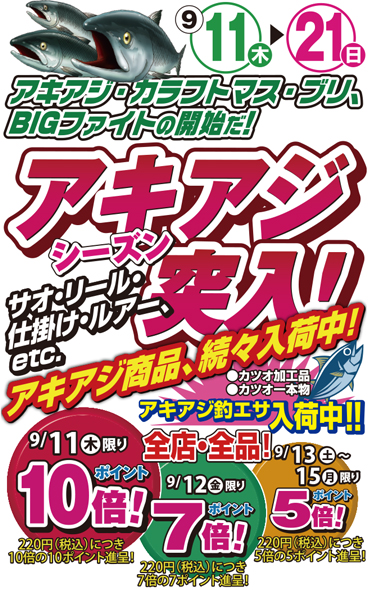アキアジシーズン突入