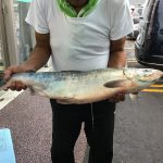 9/13(土) 網走沖 アキアジ釣果情報🎣