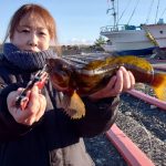 🎣噴火湾方面ロックフィッシュ情報🎣