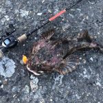 スタッフ情報 ロックフィッシュ