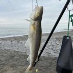 お客様 コマイ情報