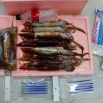 🦑2025函館山沖船イカ情報🦑No.34