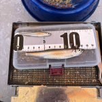 Ｏ様 塘路湖ワカサギ情報