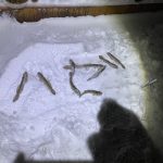 石狩新港 コマイ狙い投げ釣り