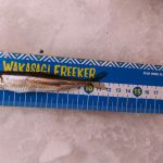 ★ワカサギ釣りに行ってきました。PARTⅢ★